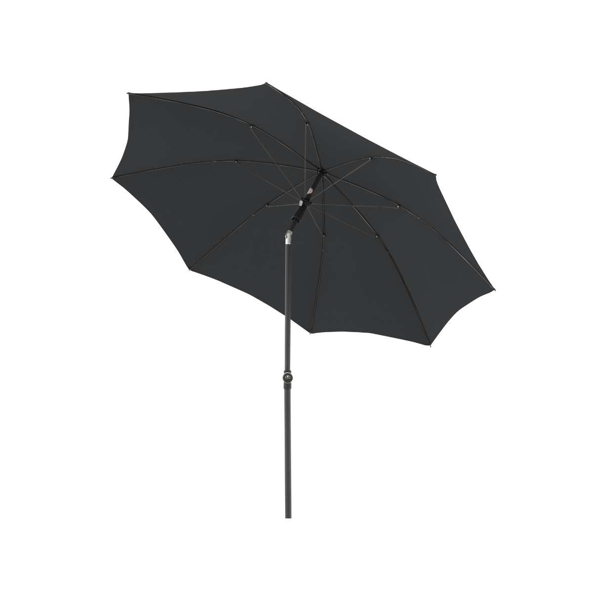 Active 210 Mittelmast Green Edition - Farbe Anthrazit