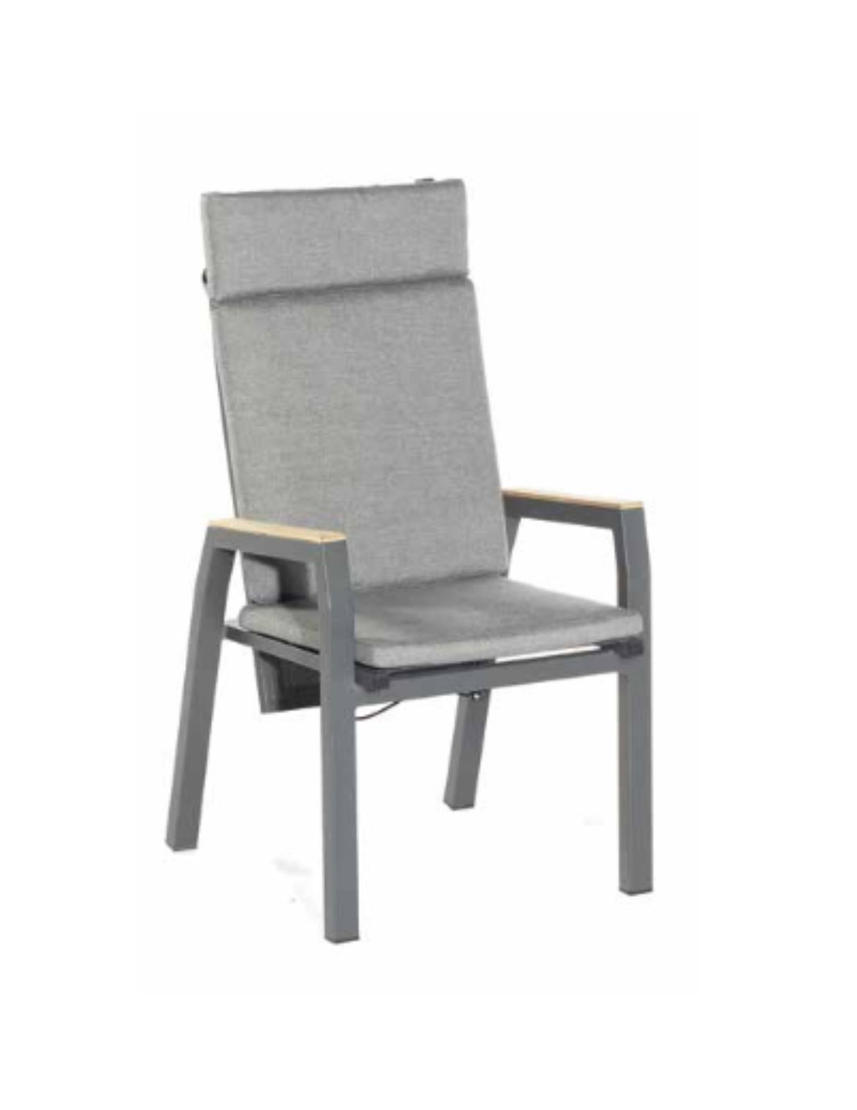 Sonnenpartner FUNCTION Relax-Dining-Sessel
