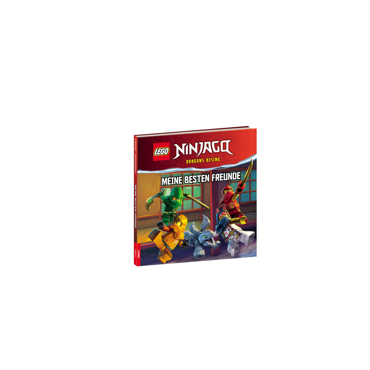 Ameet Verlag LEGO® NINJAGO™ - Meine besten Freunde