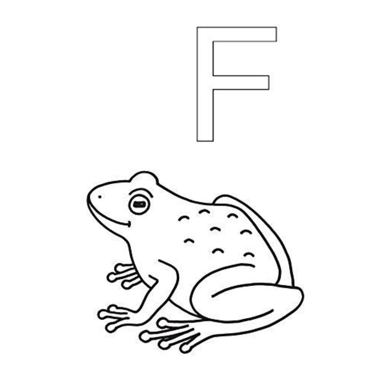 arena-mein-erstes-riesenmalbuch-tier-211EB22D3.jpg