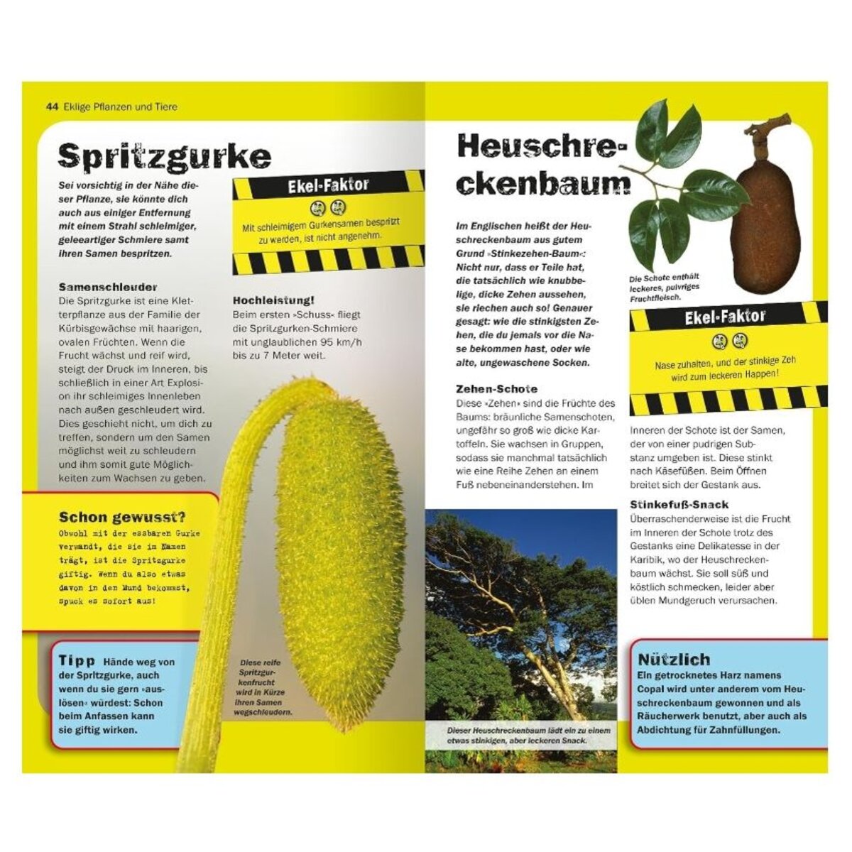 ars Edition Die 100 ekligsten Dinge der Welt