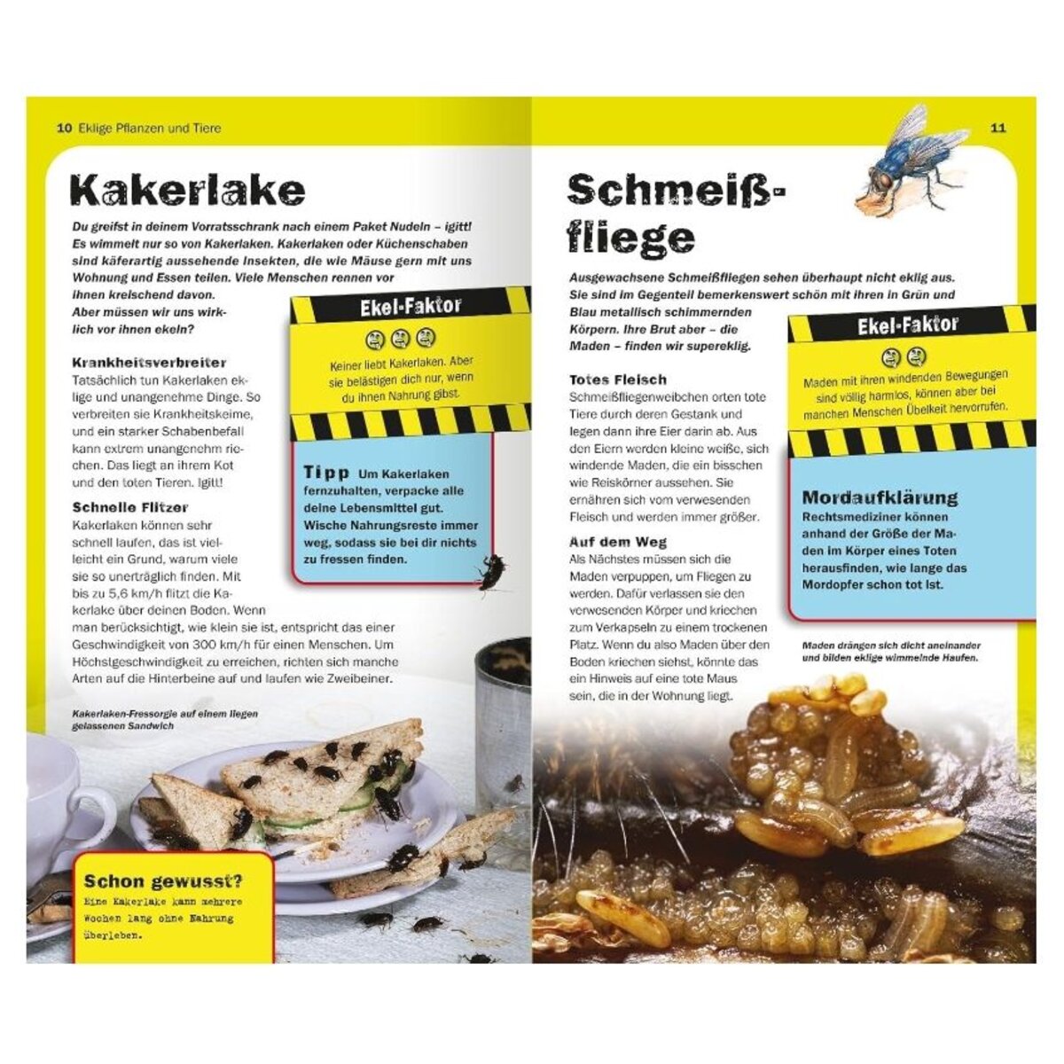 ars Edition Die 100 ekligsten Dinge der Welt