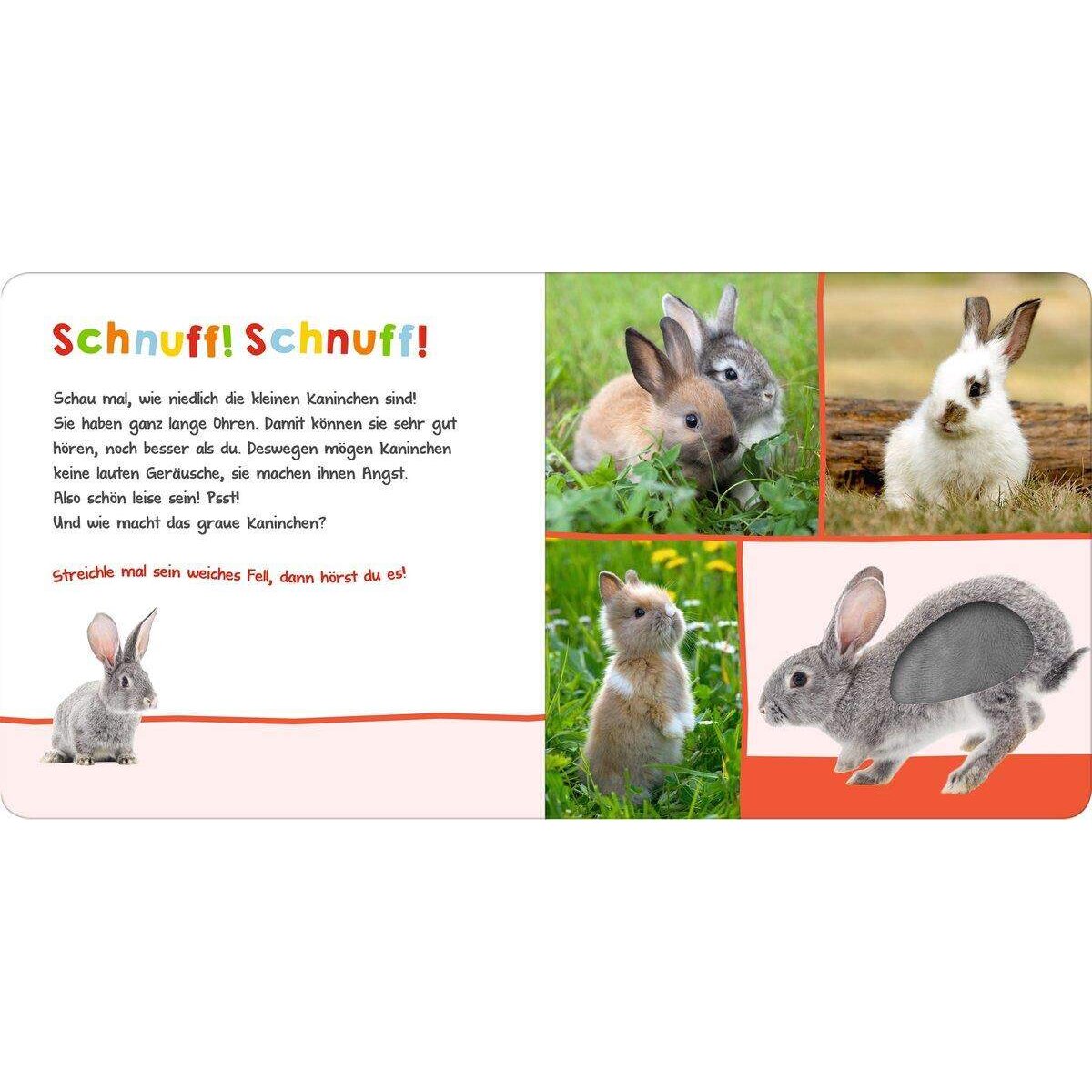 ars-edition-hoer-mal-rein-33F68E552.jpg