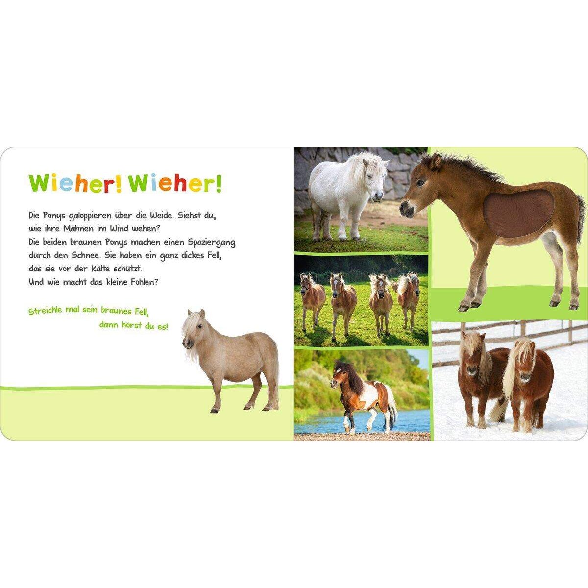 ars-edition-hoer-mal-rein-33F68E553.jpg