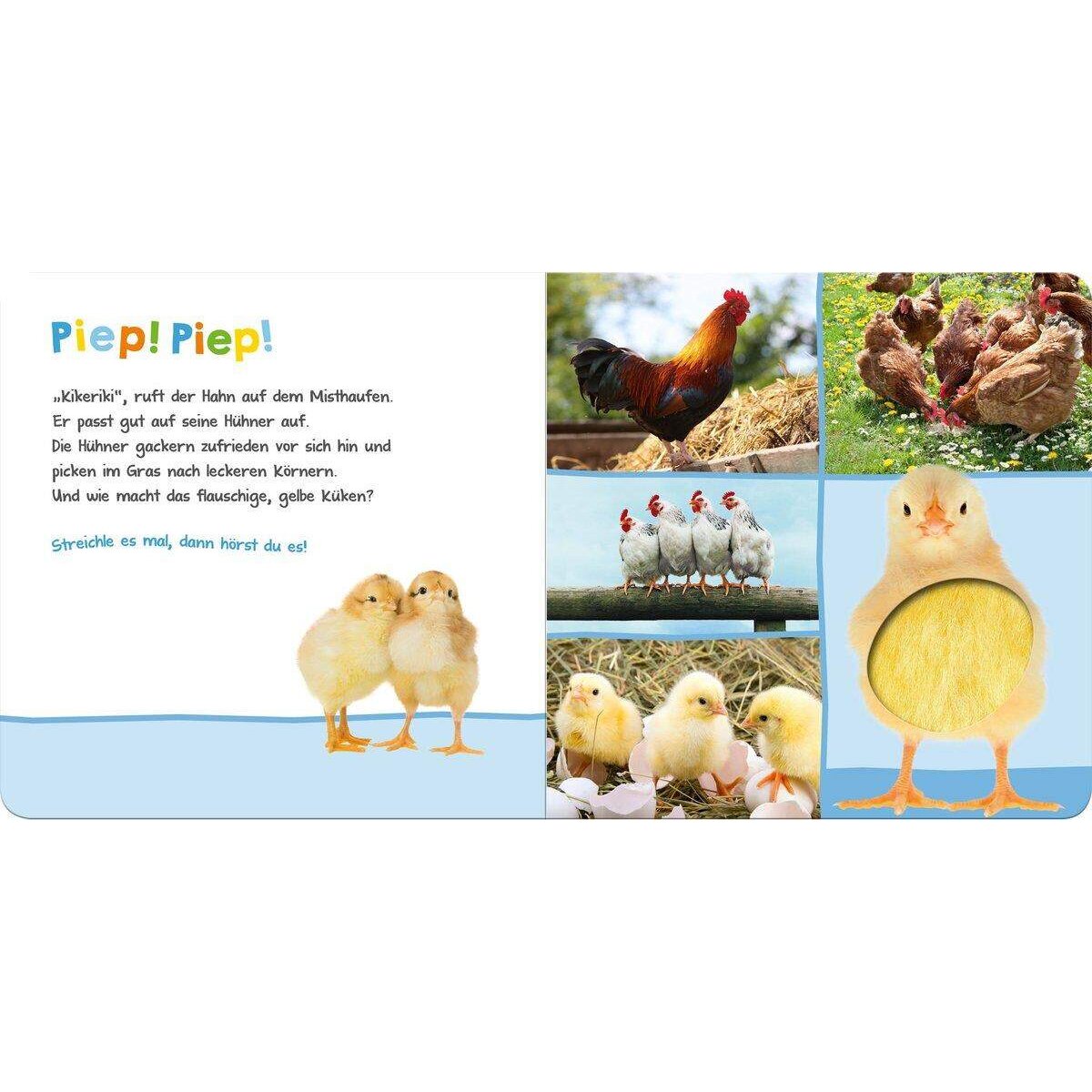 ars Edition Hör mal rein, wer kann das sein? Bauernhoftiere