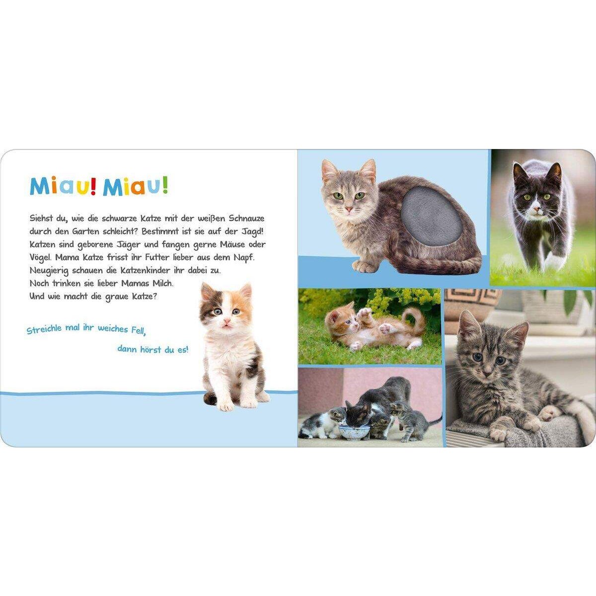 ars Edition Hör mal rein, wer kann das sein? Haustiere