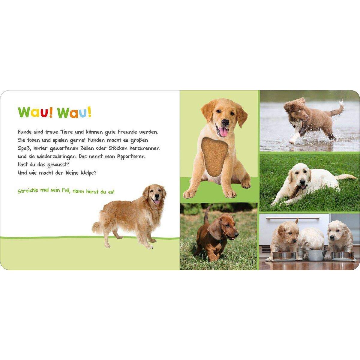 ars Edition Hör mal rein, wer kann das sein? Haustiere