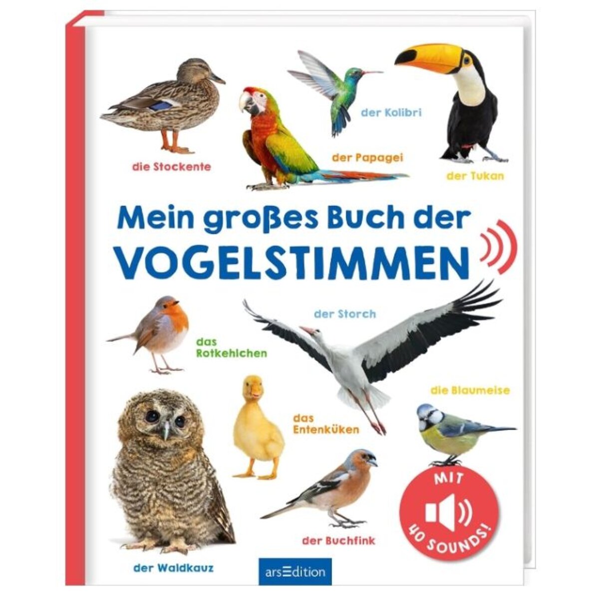 ars-edition-mein-grosses-buch-C5E464D91.jpg