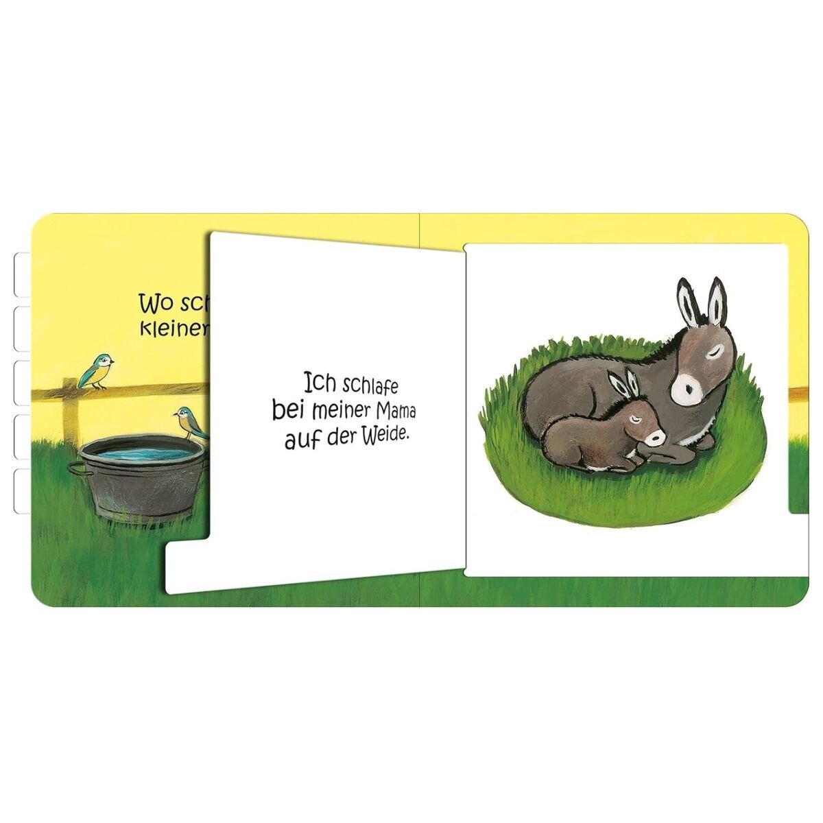 ars Edition Wo schläfst du, kleine Eule?