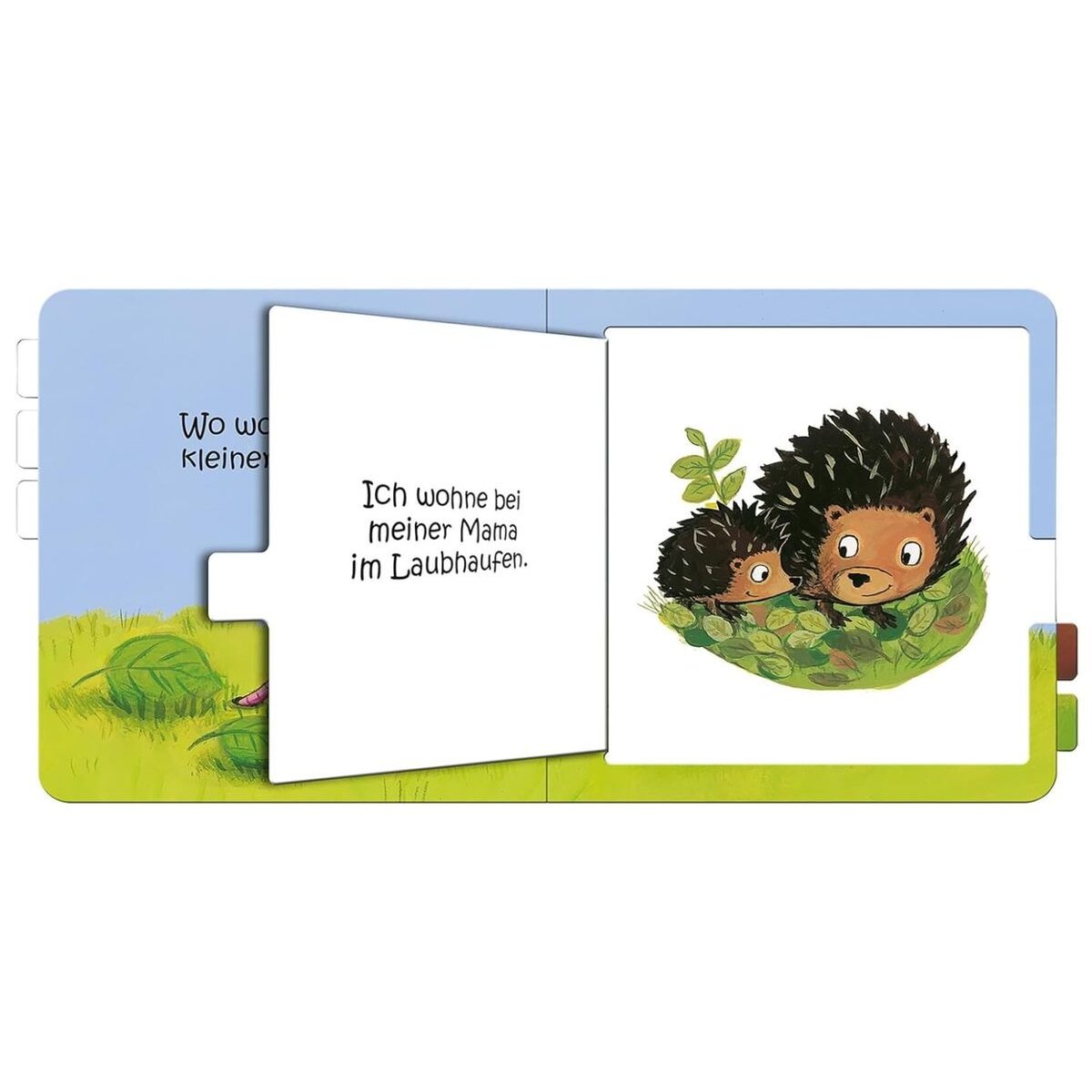 ars Edition Wo wohnst du, kleines Küken?