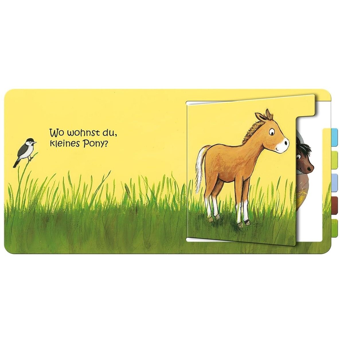 ars Edition Wo wohnst du, kleines Küken?