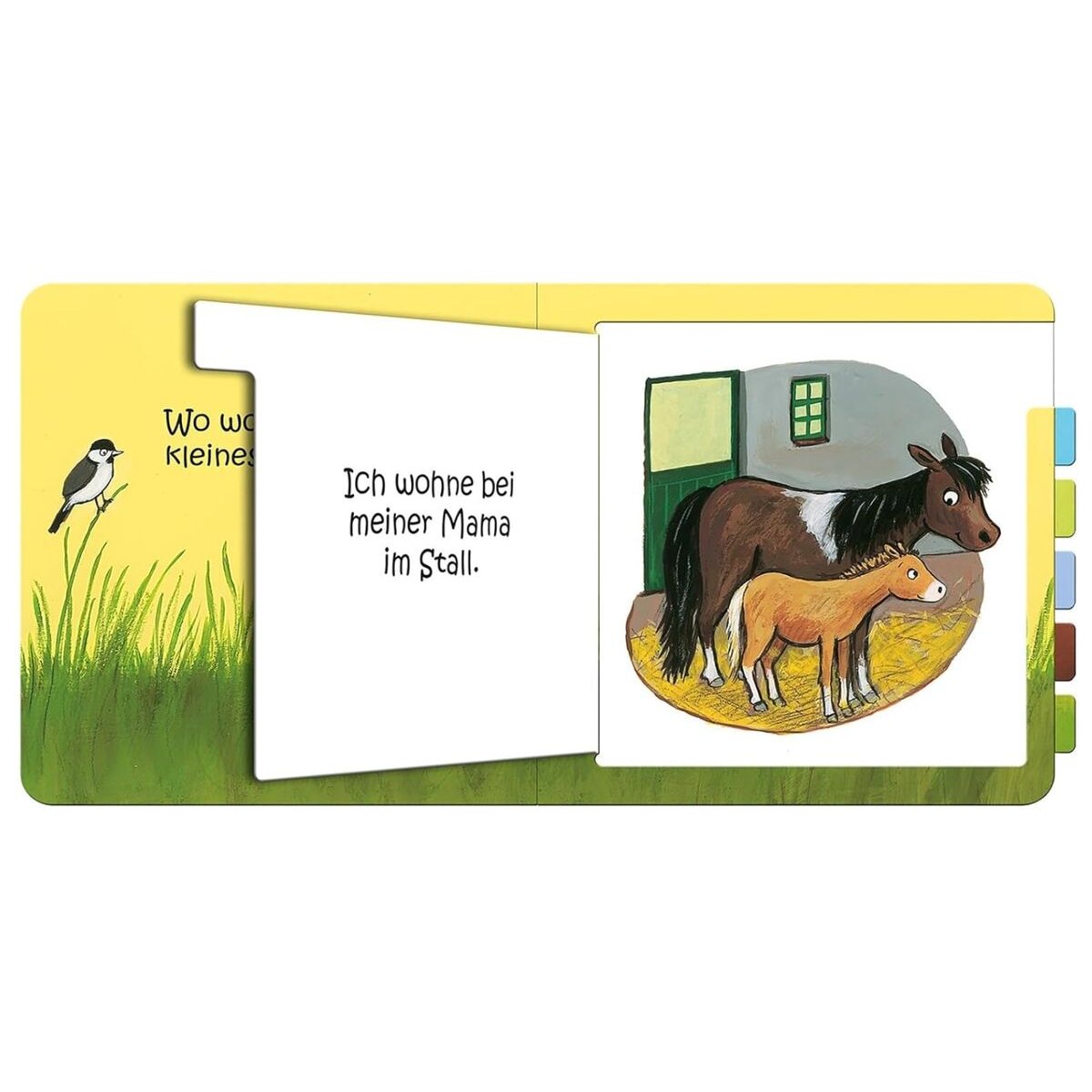 ars Edition Wo wohnst du, kleines Küken?