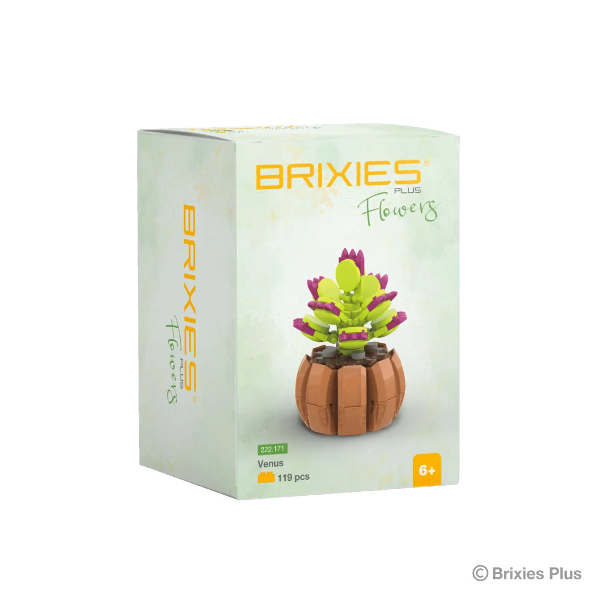 brixies-plus-mini-blume-venus-DDDC65CC1.jpg