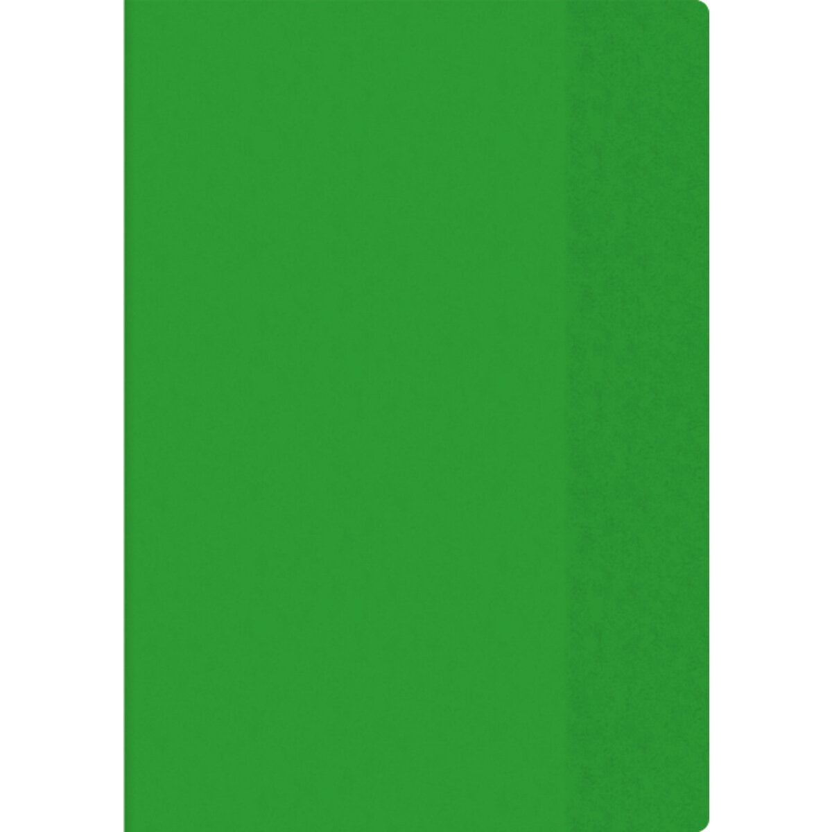 BRUNNEN Hefthülle A4 transp. grün Folie