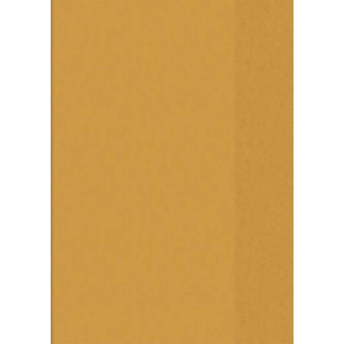 BRUNNEN Hefthülle A5, transparent orange