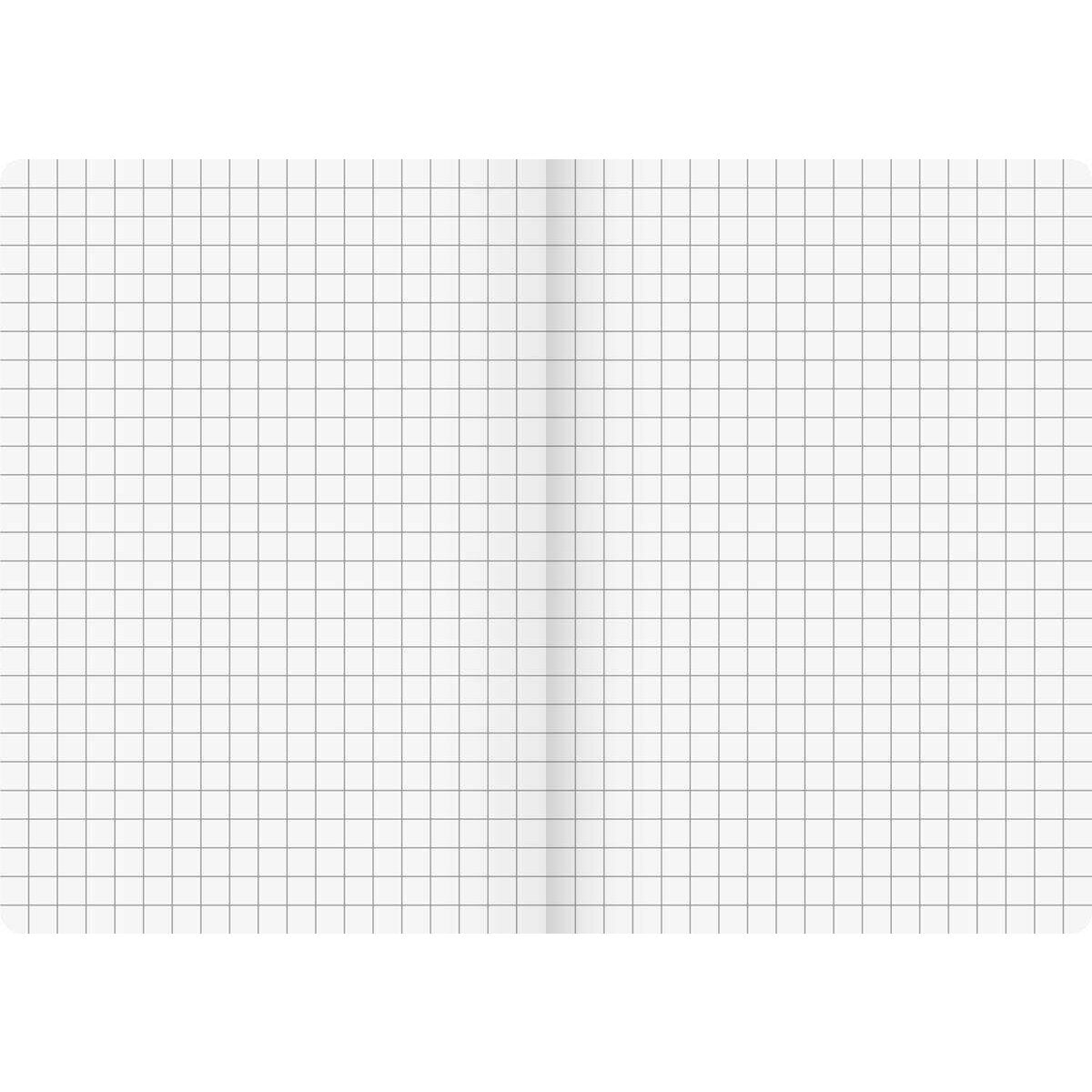 BRUNNEN Kladde FACT!plus A5 kariert braun