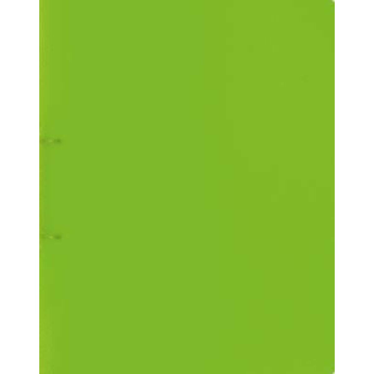 brunnen-ringbuch-factpp-kiwi-a4-4F505A891.jpg