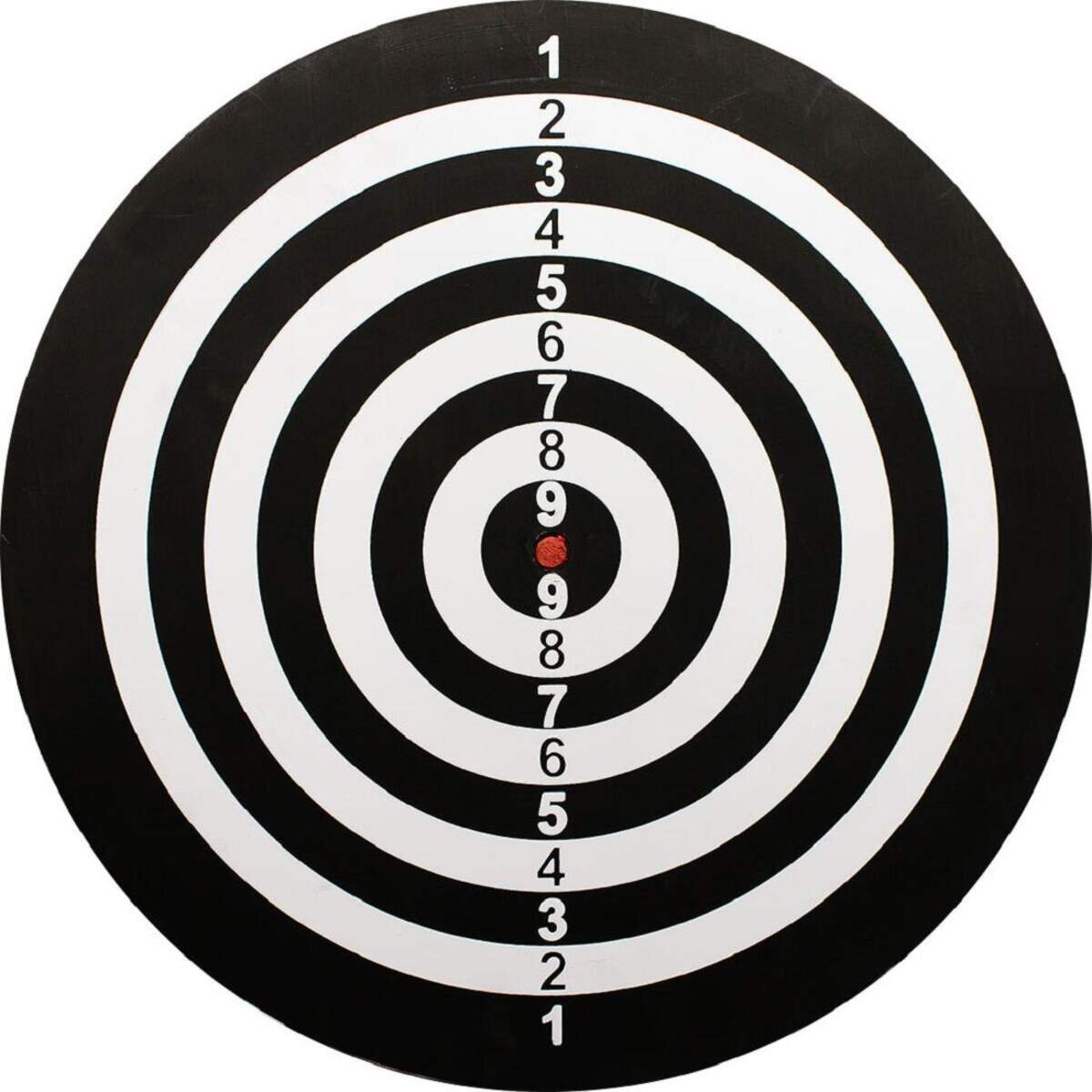 bulls-darts-windsor-paper-dartboard-6C1E29442.jpg