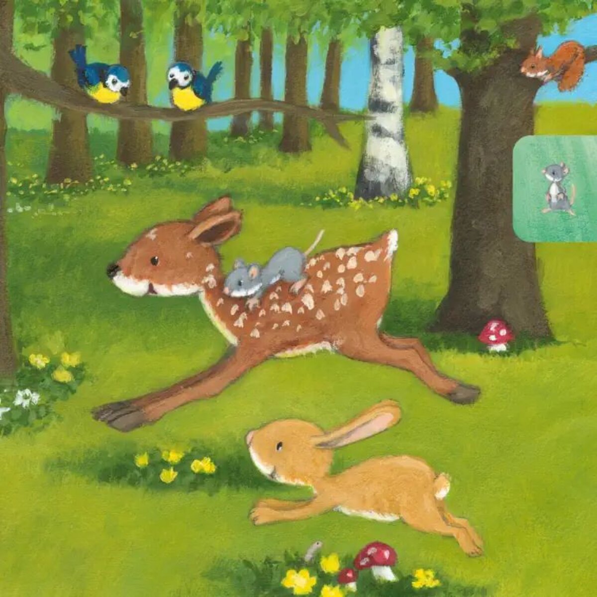 Carlsen Verlag Baby Pixi (unkaputtbar) 97: Der kleine Hase
