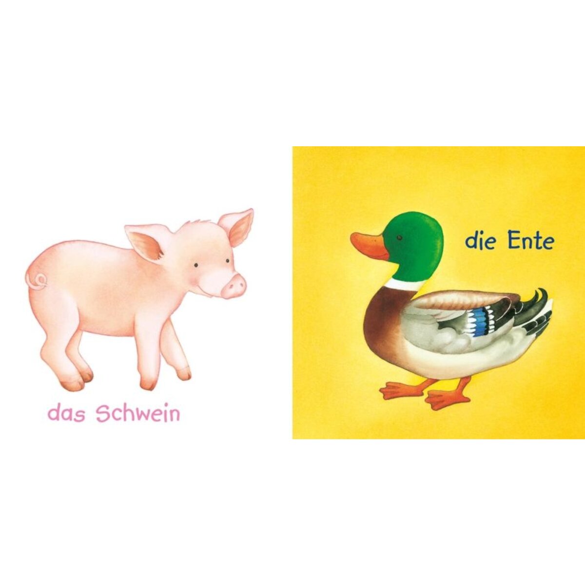 carlsen-verlag-baby-pixi-unkaputtbar-D01457CD3.jpg