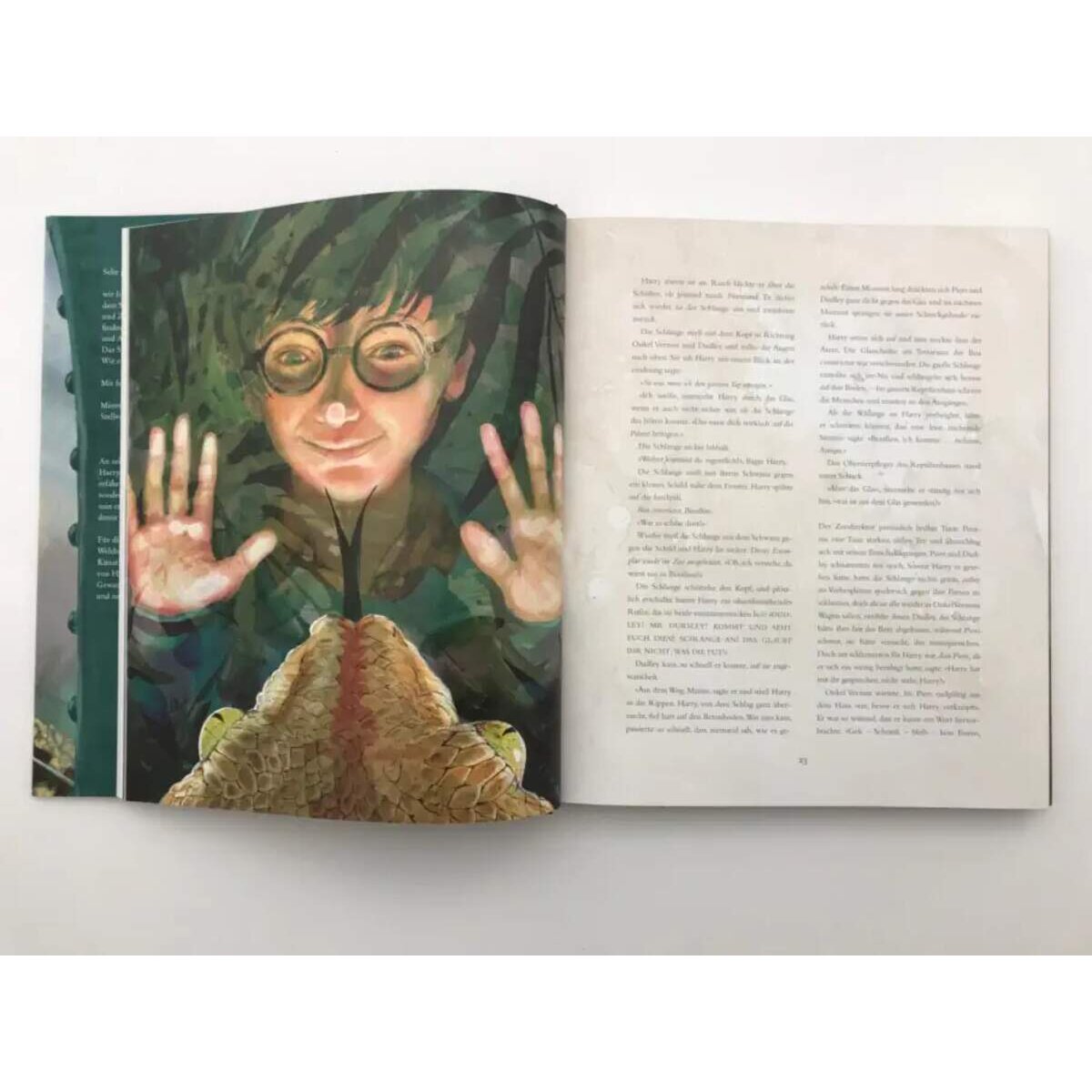 Carlsen Verlag Harry Potter und der Stein der Weisen (farbig illustrierte Schmuckausgabe)