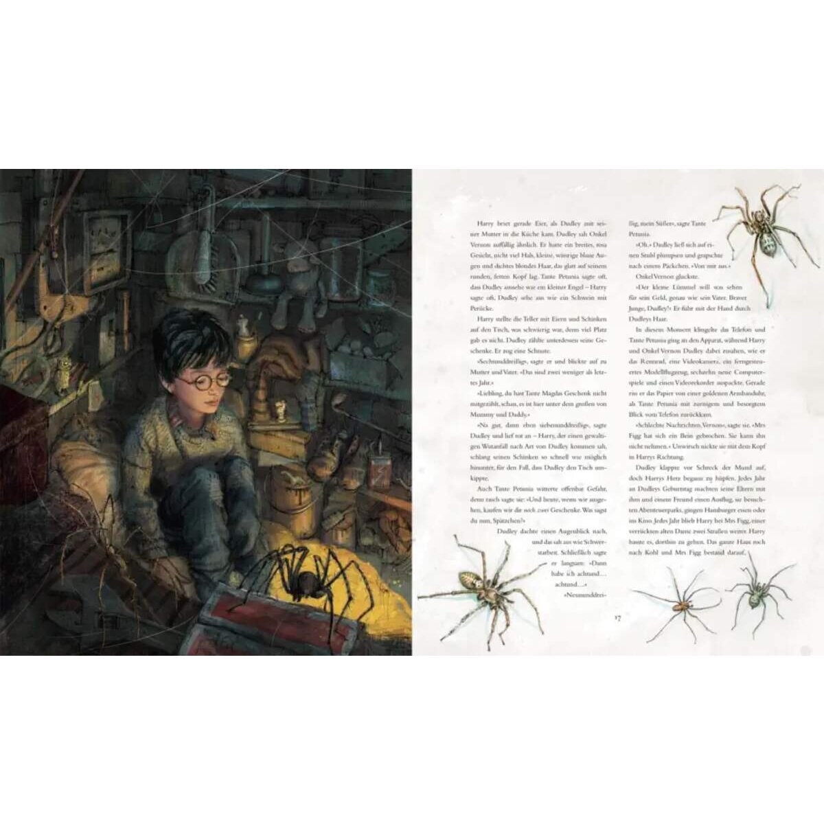 Carlsen Verlag Harry Potter und der Stein der Weisen (farbig illustrierte Schmuckausgabe)