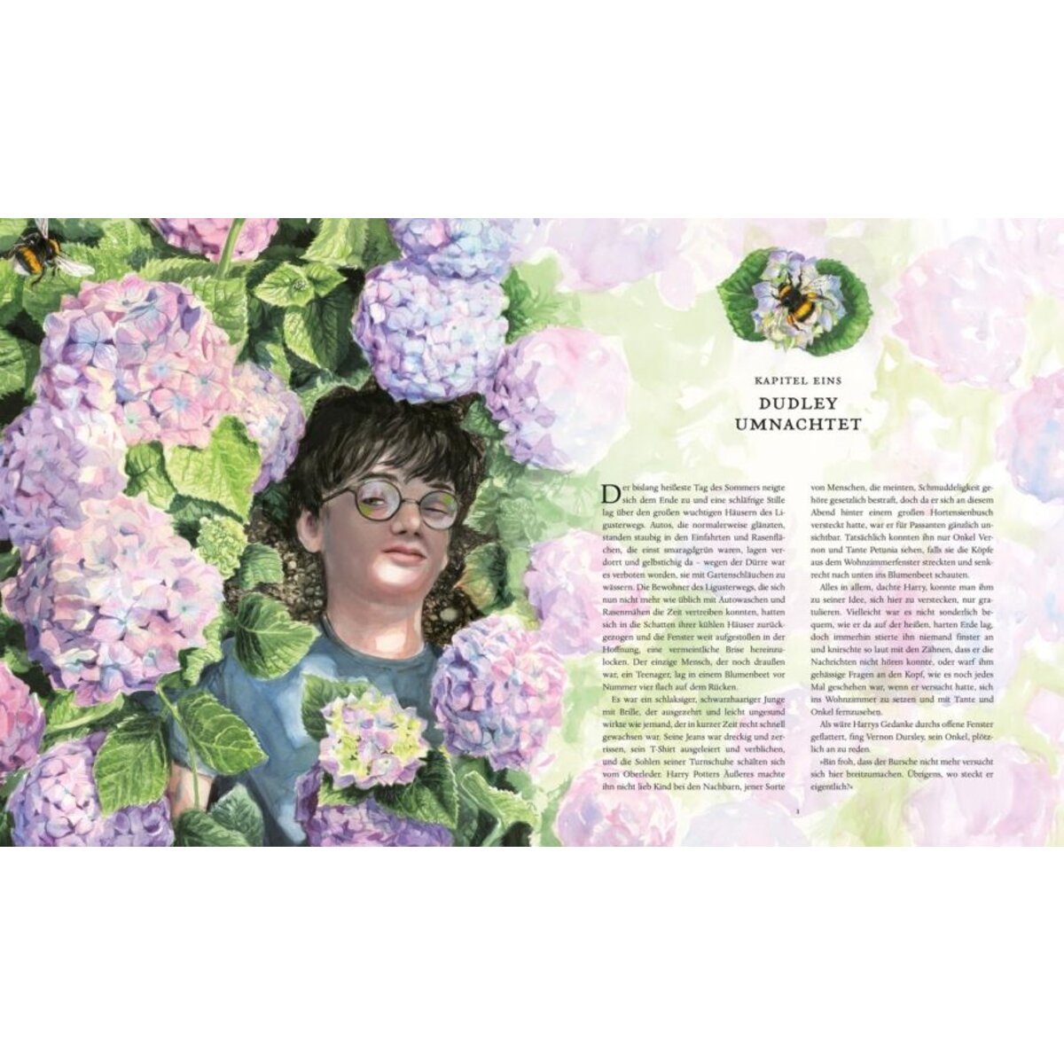 Carlsen Verlag Harry Potter und der Orden des Phönix (Schmuckausgabe Harry Potter 5)