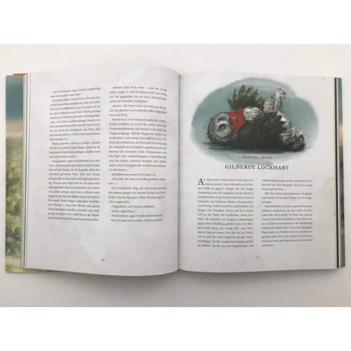 Carlsen Verlag Harry Potter und die Kammer des Schreckens (farbig illustrierte Schmuckausgabe)