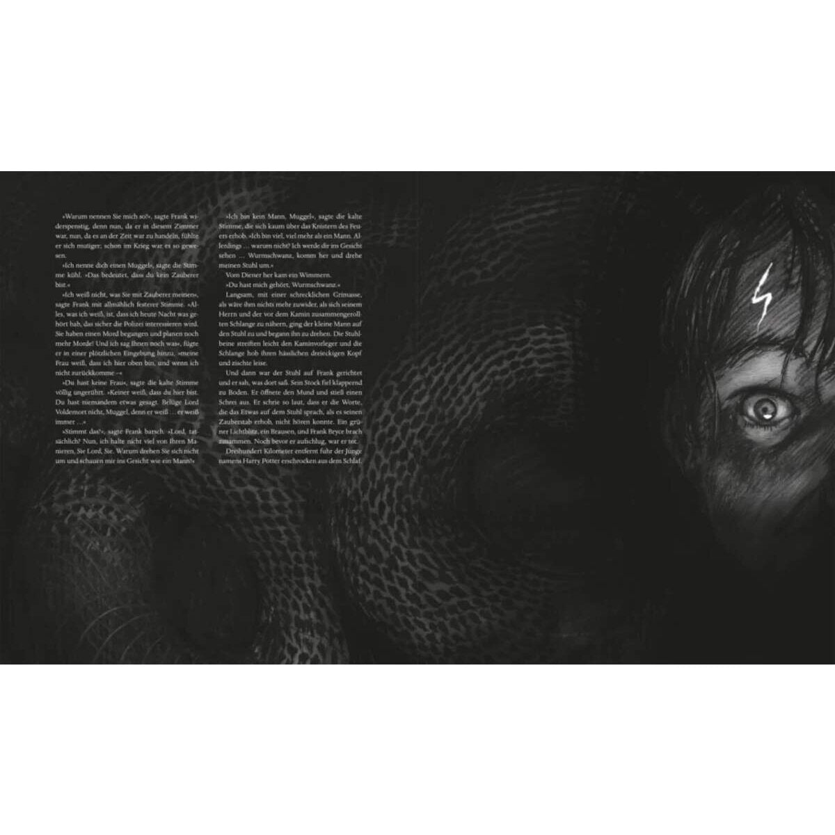 carlsen-verlag-harry-potter-und-F2CF55F74.jpg