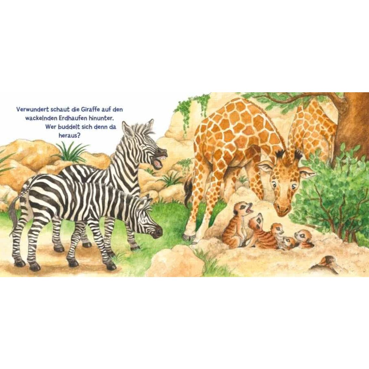 Carlsen Verlag Mein erstes Hör mal (Soundbuch ab 1 Jahr): Im Zoo