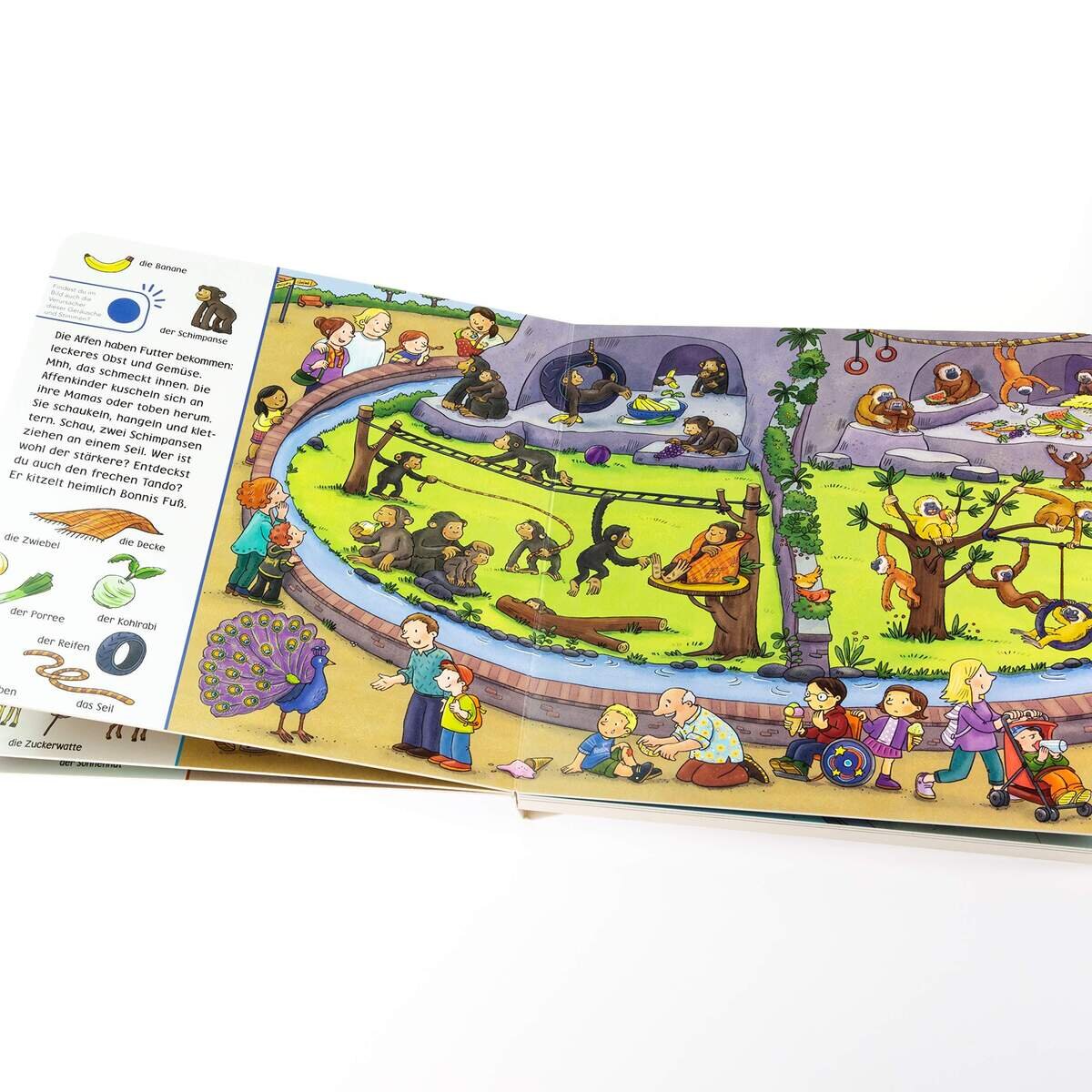 Carlsen Verlag Hör mal (Soundbuch): Wimmelbuch: Im Zoo