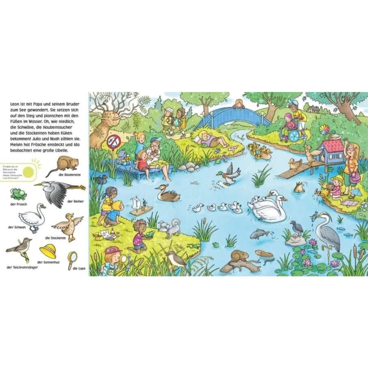 Carlsen Verlag Hör mal (Soundbuch): Wimmelbuch: Wald und Wiese