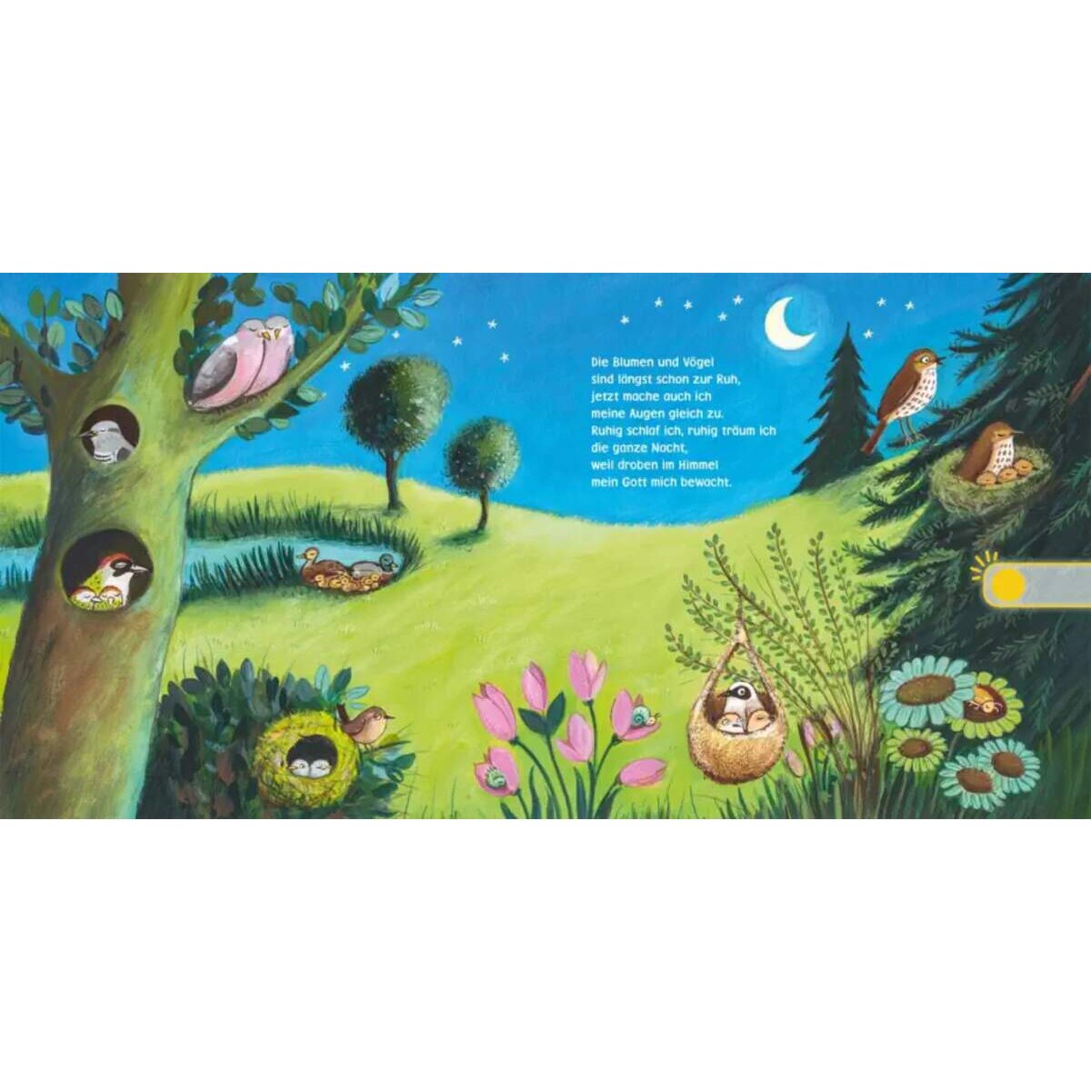 Carlsen Verlag Hör mal (Soundbuch): Verse für Kleine: Müde bin ich, geh zur Ruh ...