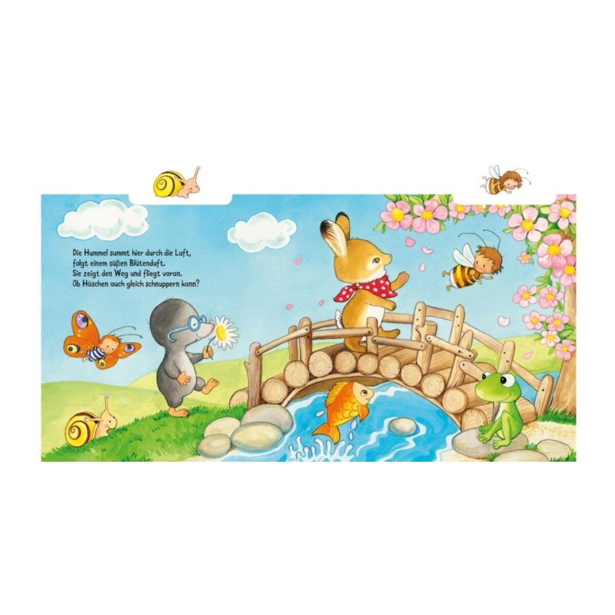 Carlsen Verlag Hurra, die Sonne scheint