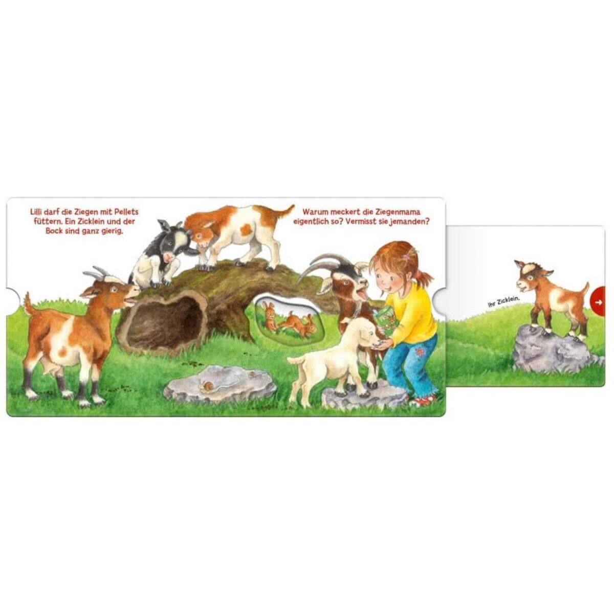 Carlsen Verlag Mein erstes Hör mal (Soundbuch ab 1 Jahr): Die Tierkinder