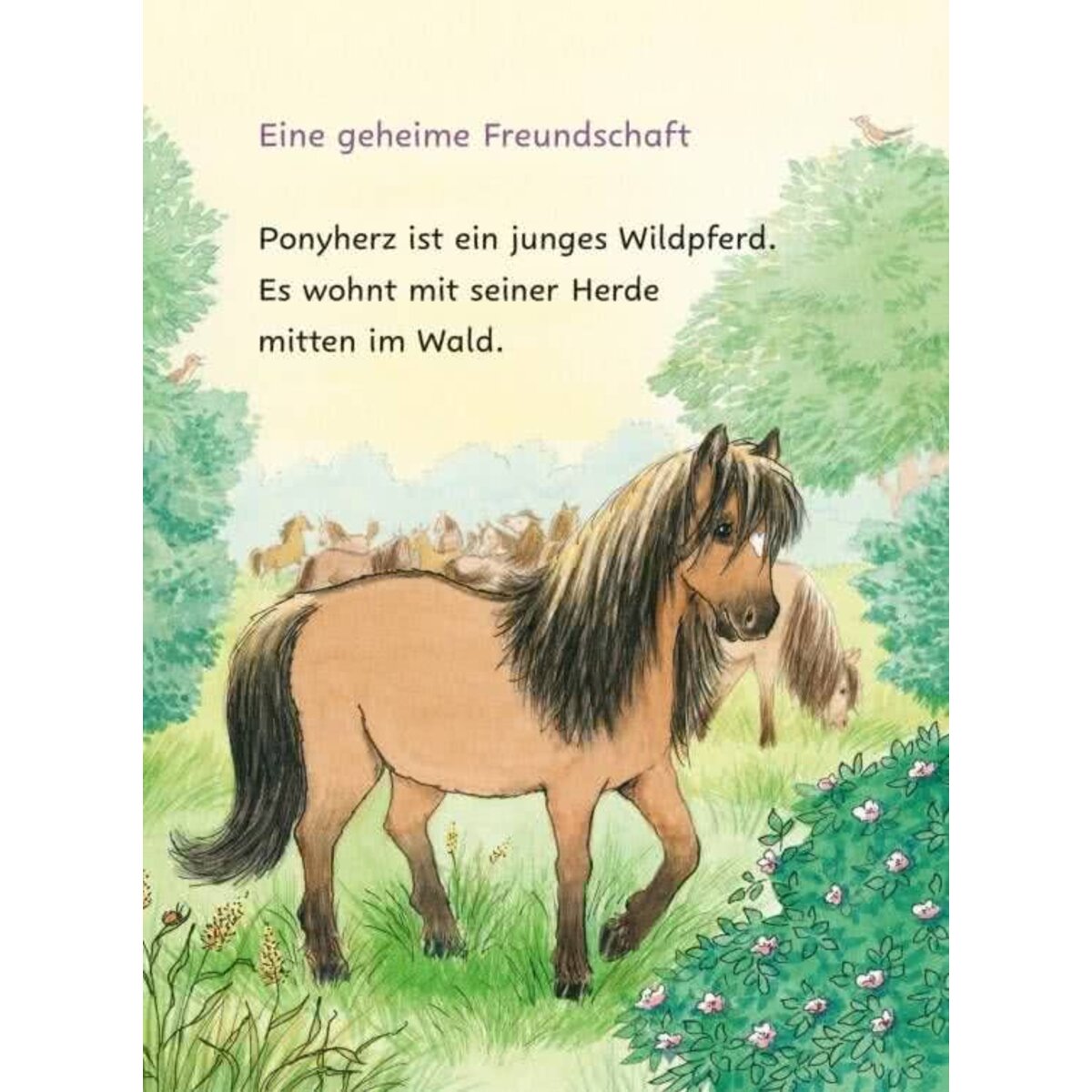 carlsen-verlag-ponyherz-und-herr-1B2AFE9B2.jpg