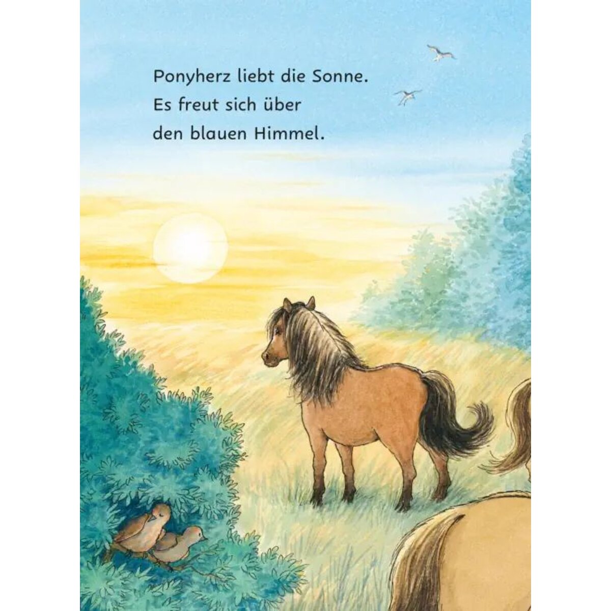 carlsen-verlag-ponyherz-und-herr-1B2AFE9B3.jpg