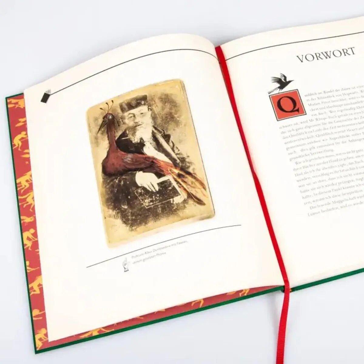 Carlsen Verlag Quidditch im Wandel der Zeiten (farbig illustrierte Schmuckausgabe)