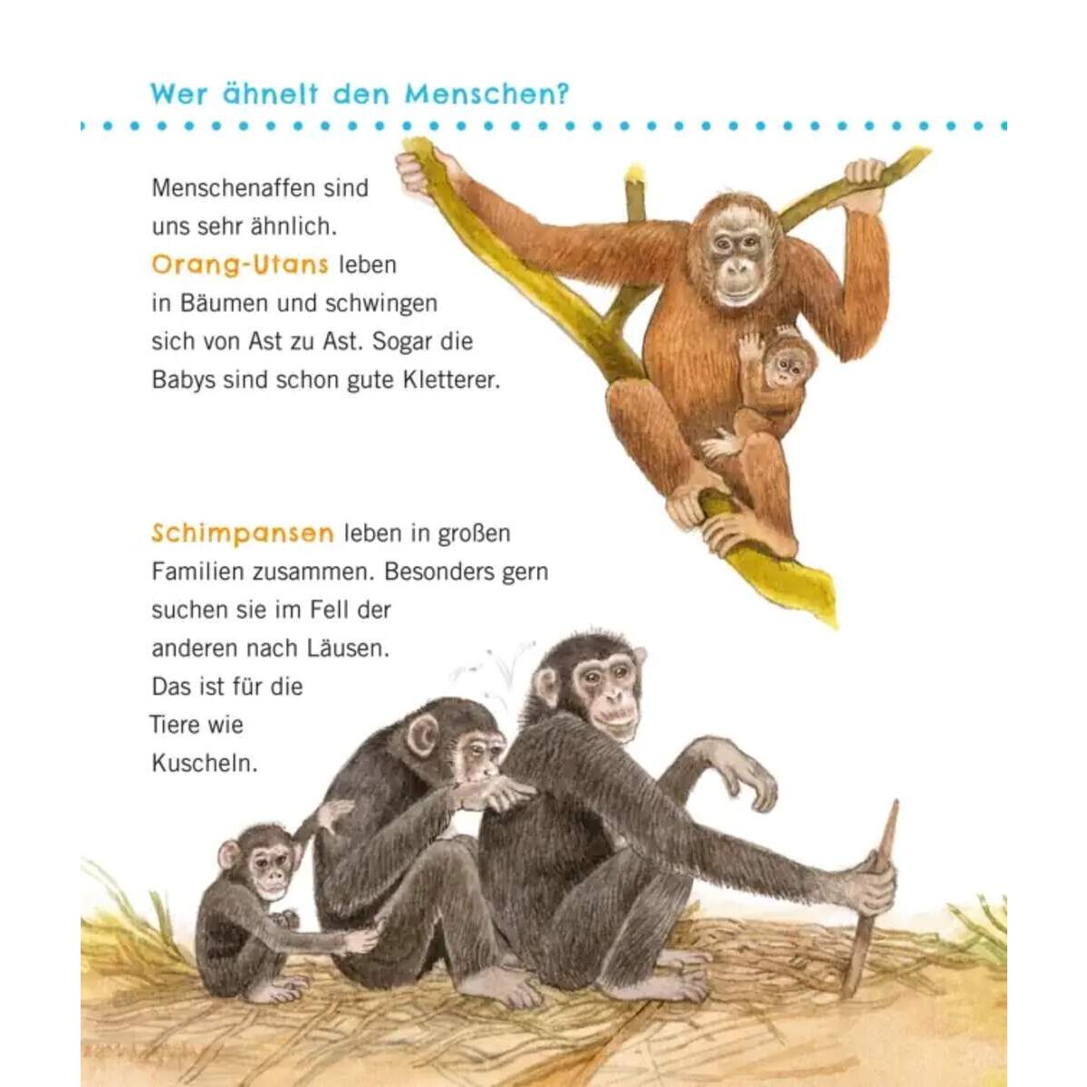 carlsen-verlag-unkaputtbar-erstes-wissen-C5E3A2913.jpg