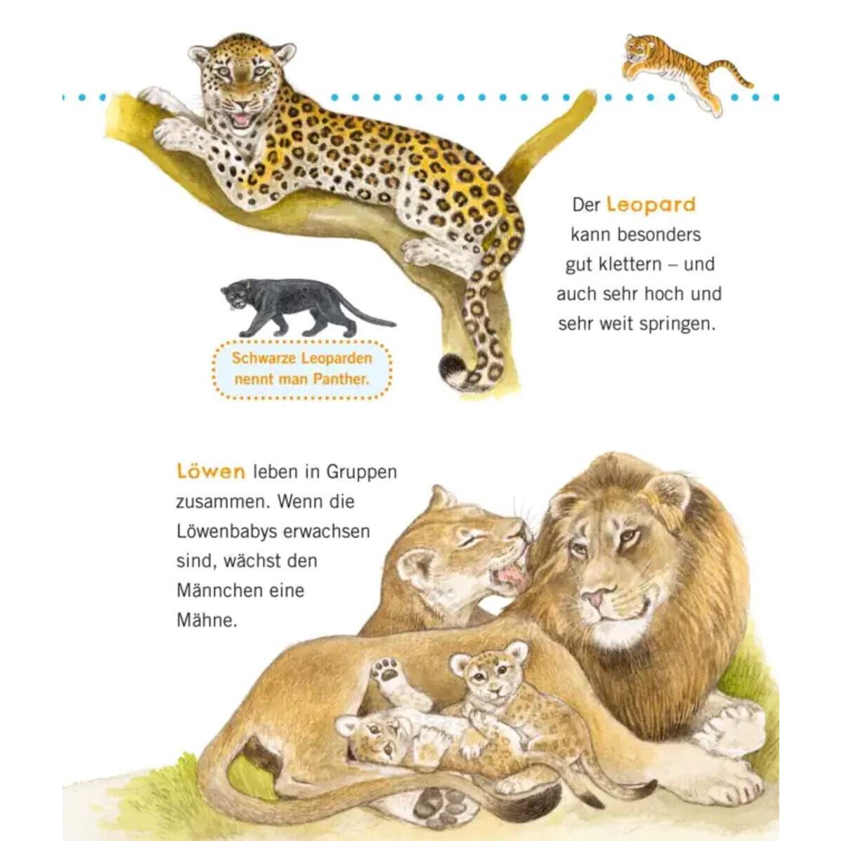 Carlsen Verlag Unkaputtbar: Erstes Wissen: Große Tiere