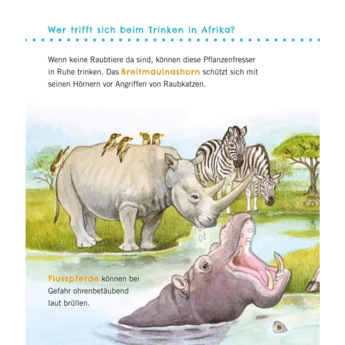 Carlsen Verlag Unkaputtbar: Erstes Wissen: Große Tiere