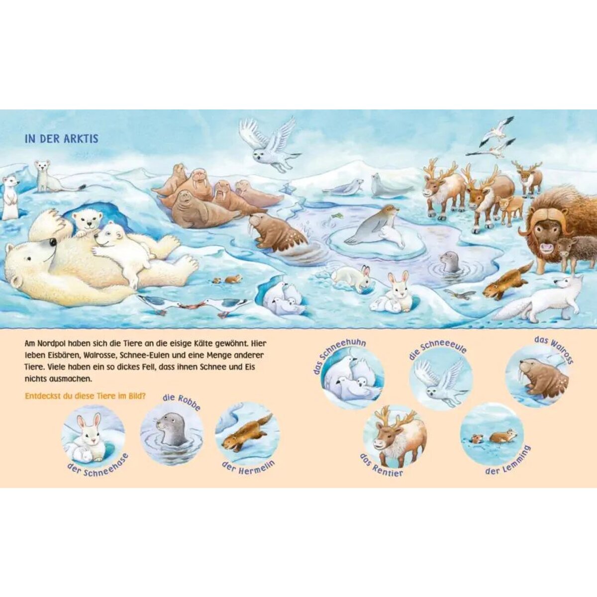 Carlsen Verlag Unkaputtbar: Mein erstes Wimmelbuch: Unsere Tiere