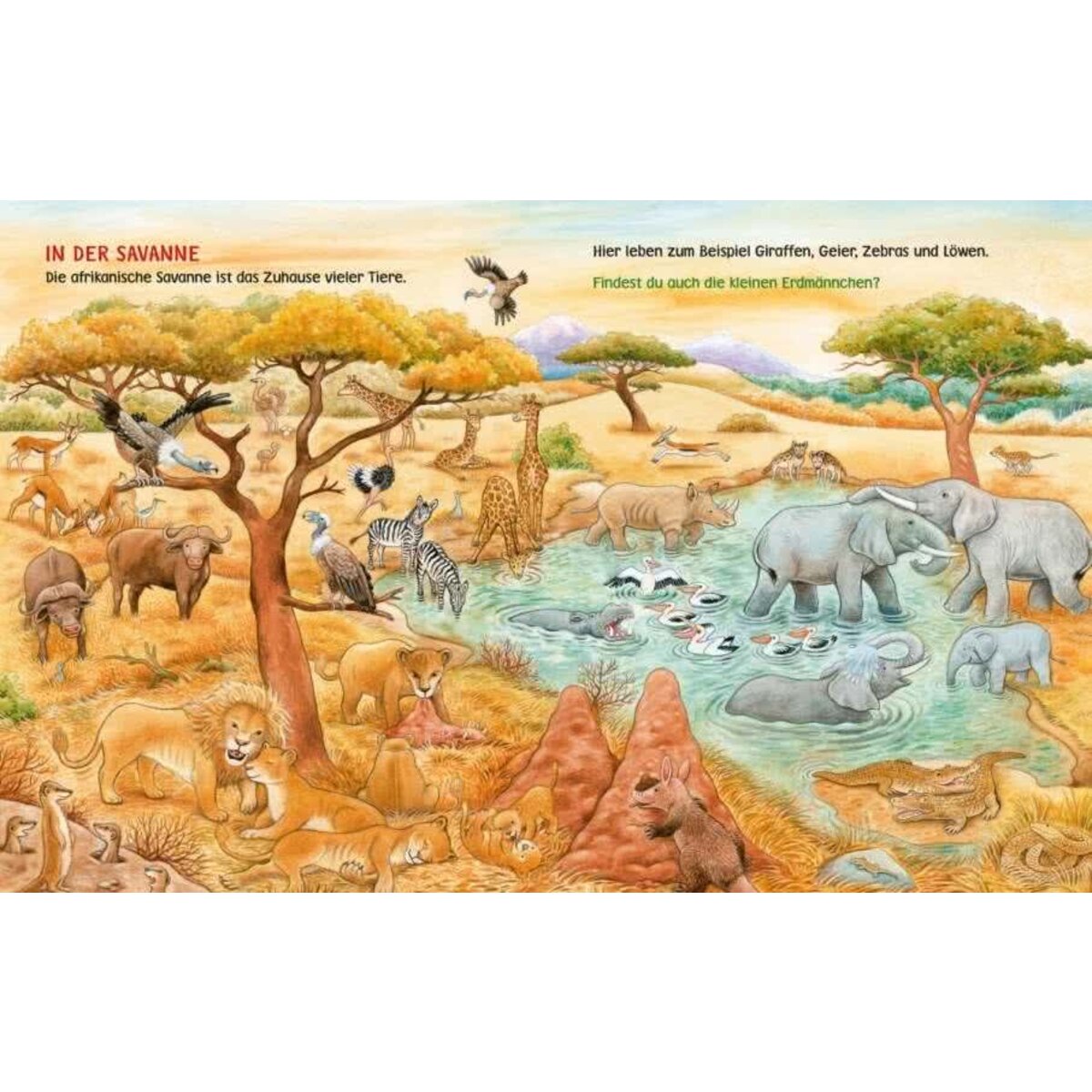 Carlsen Verlag Unkaputtbar: Mein erstes Wimmelbuch: Unsere Tiere