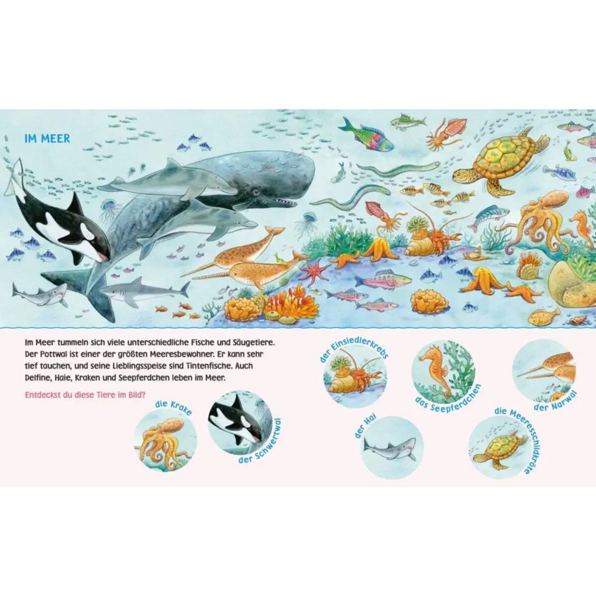 Carlsen Verlag Unkaputtbar: Mein erstes Wimmelbuch: Unsere Tiere