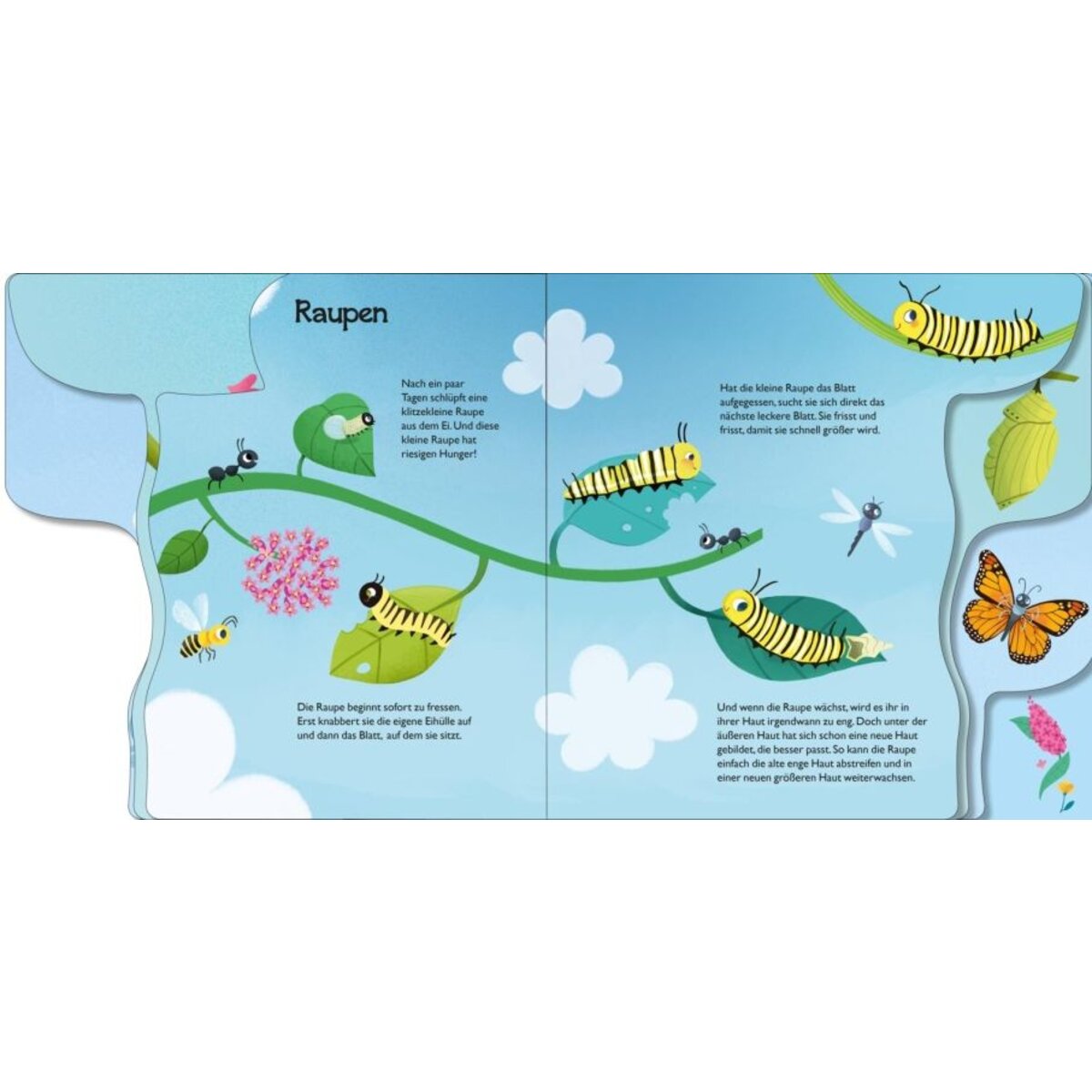 Carlsen Verlag Von Raupe zum Schmetterling
