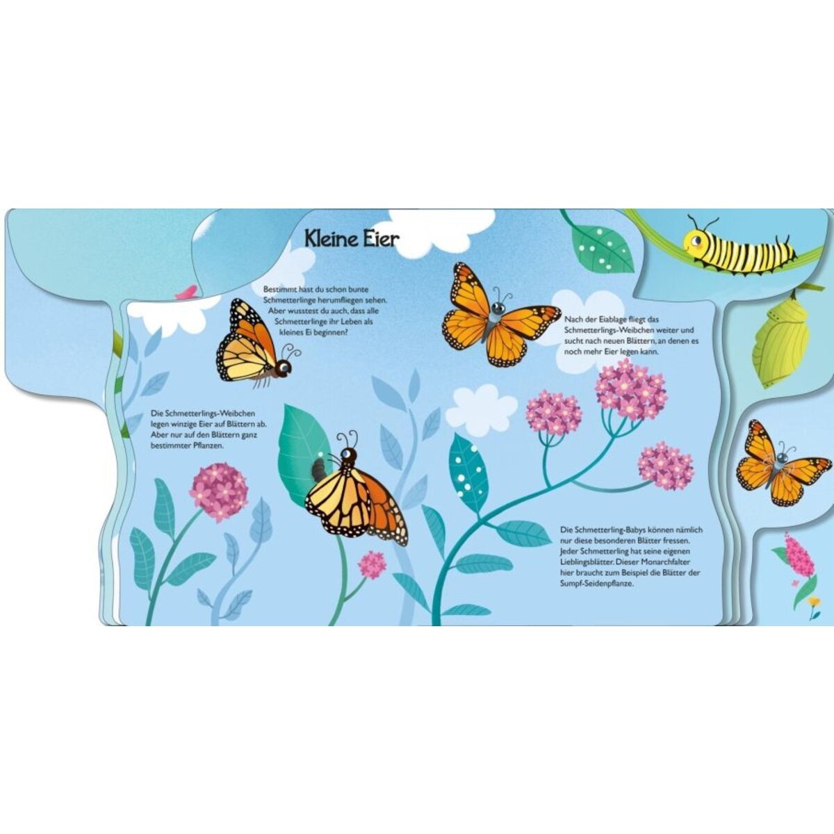 Carlsen Verlag Von Raupe zum Schmetterling