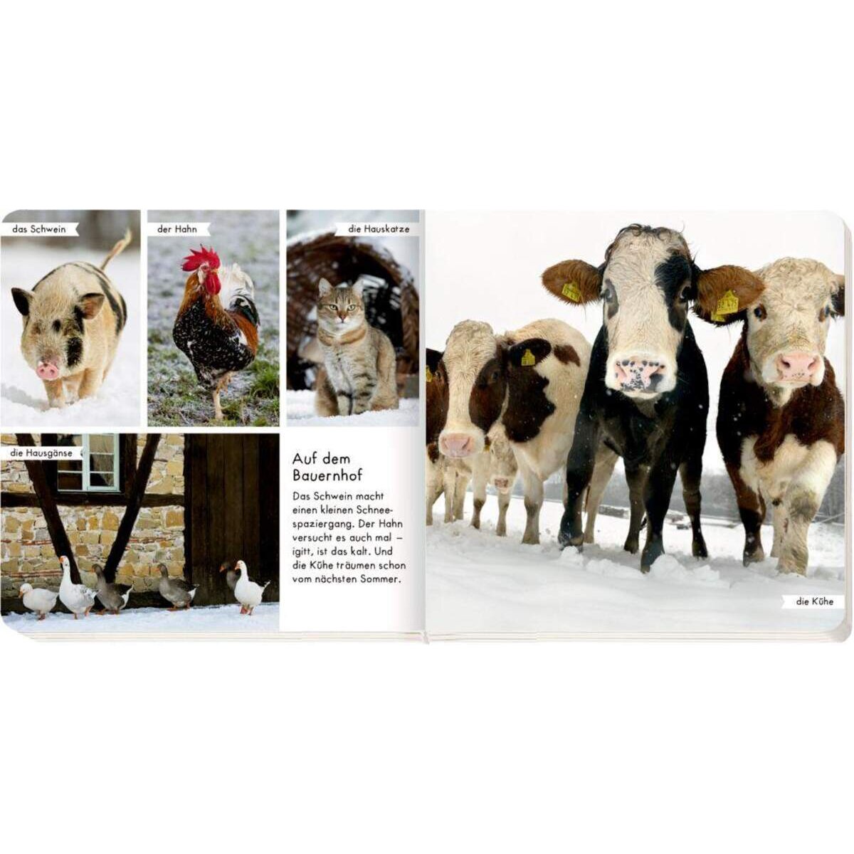 Coppenrath Verlag Meine liebsten Tiere im Winter