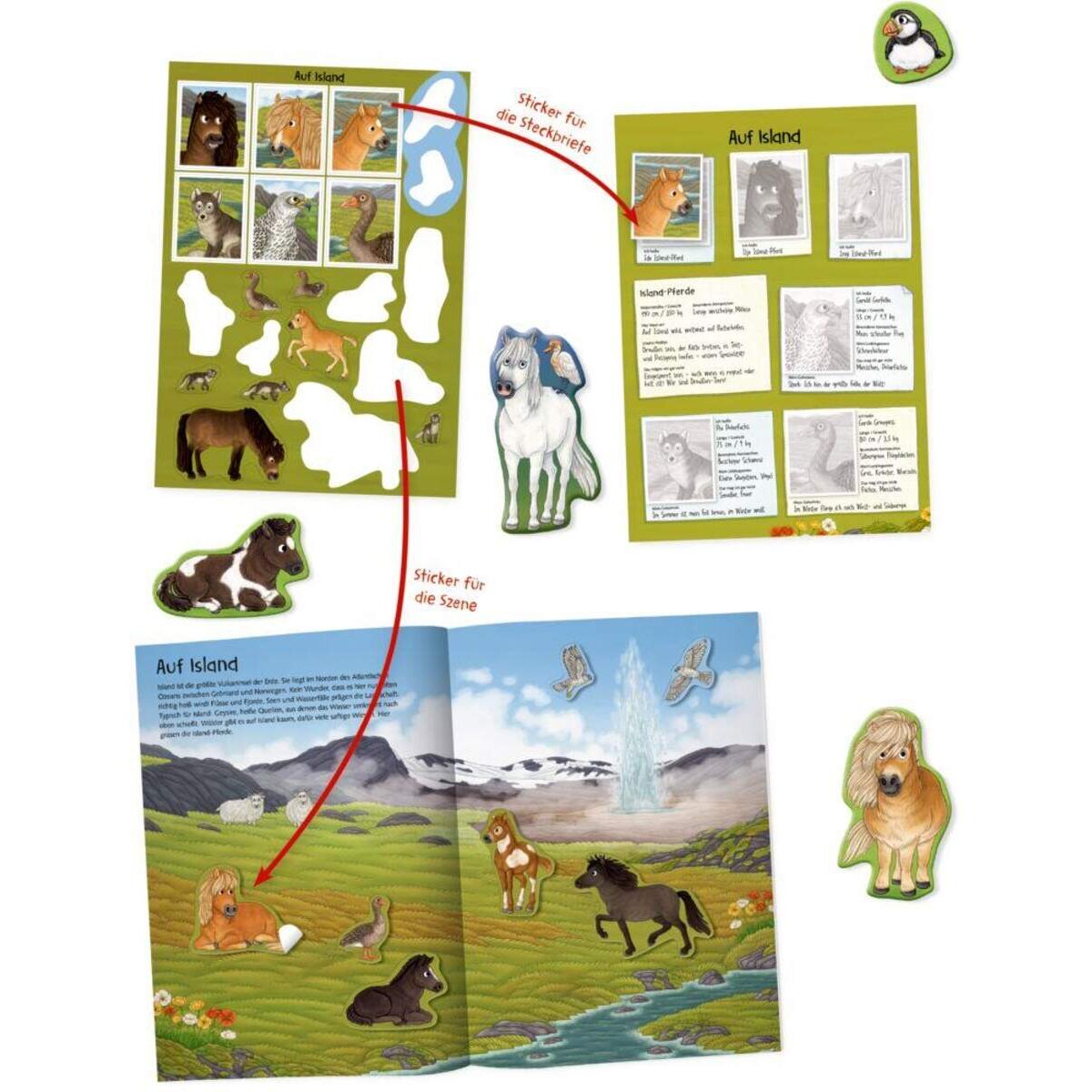 Coppenrath Verlag Natur-Stickerwelt: Pferde und Ponys (Nature Zoom)