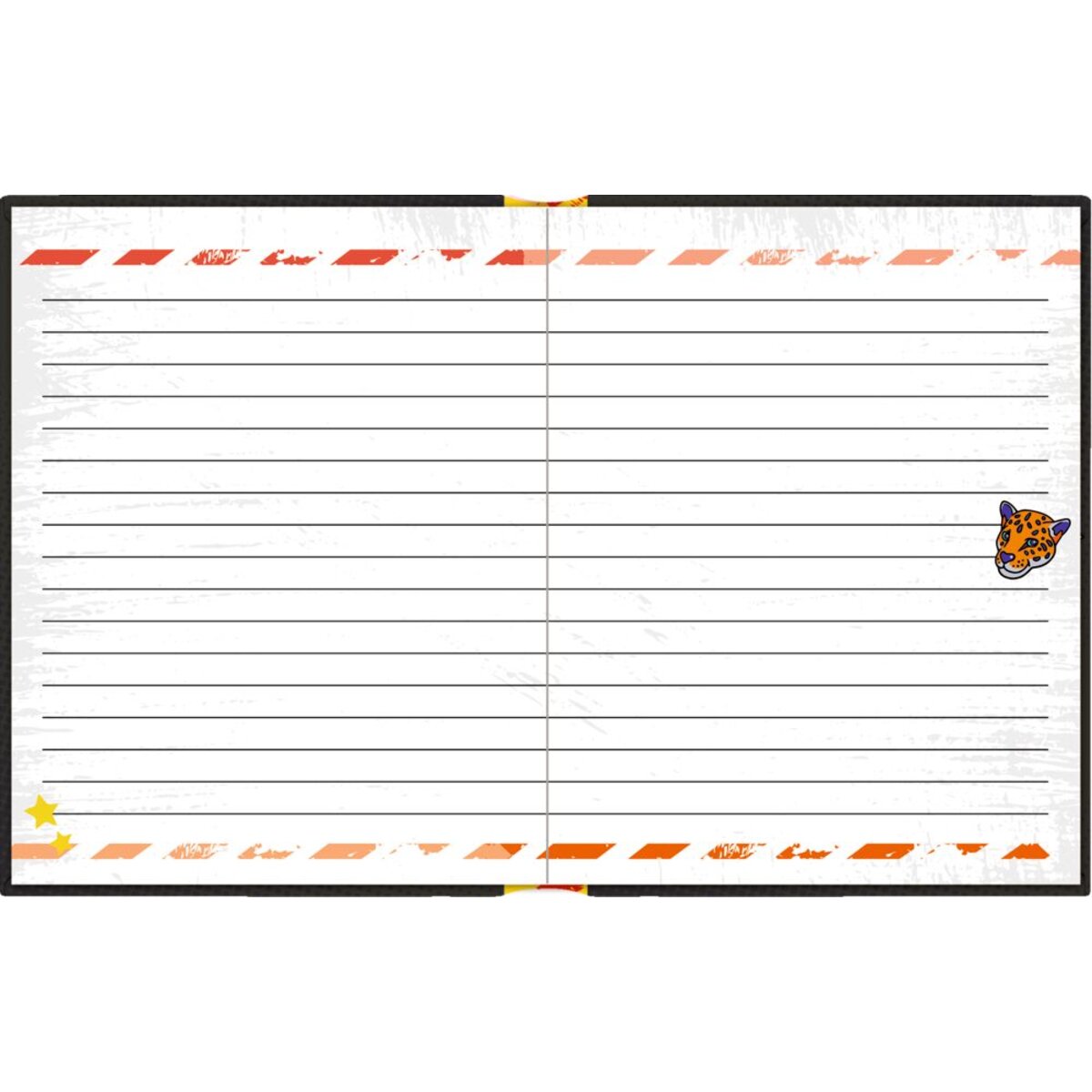 Coppenrath Verlag Tagebuch: STOP - Top Secret