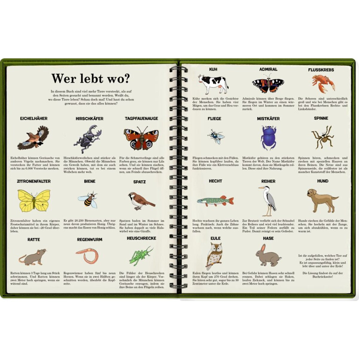 Coppenrath Verlag WimmelSuchBuch: Tiere über und unter der Erde (Buchbonus)